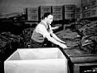 Homme triant et emballant des uniformes de l'Armée canadienne terminés dans une grande usine de vêtements en vue de leur expédition au quartier-général de l'armée déc. 1939