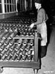Un ouvrier dans une fabrique de munitions canadienne empile des balles de fusil-mitrailleur Bren pour leur appliquer une couche de peinture déc. 1939