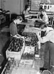 Des ouvriers assemblant des grenades à main à l'usine Frost and Wood Apr. 1941