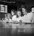 Lors de la demi-heure de pause, des ouvrières affectées aux munitions prennent leur déjeuner à la cafétéria de l'usine Dominion Arsenals Ltd 24 août 1942