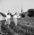 Les soeurs Percy, employées de l'usine de la Dominion Arsenals Ltd., armées d'un râteau, d'un arrosoir et d'une fourche, aident à l'entretien du potager où elles travaillent 24 Aug. 1942
