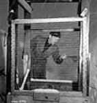 À Valcartier, un ouvrier examine des tamis de cuivre utilisés pour vérifier la vitesse des balles de fusil Feb. 1943