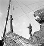 Un décrocheur se tient debout sur un dépôt provisoire intermédiaire de troncs d'arbres, prêt à décrocher un nouvel arrivage tiré du bois par câble Apr. 1943