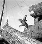 Un décrocheur court retirer le câble d'une bille qui vient d'être tirée du bois et empilée sur un dépôt provisoire intermédiaire Apr. 1943