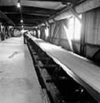 View of the main chip conveyor belt transporting wood chips from the chipper building to the digester building to make sulphite pulp at the International Pulp and Paper Company mills sept. 1943