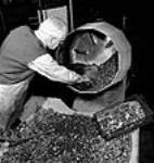 L'ouvrier Fred Neel, âgé de 75 ans, utilise une machine à la fabrique Small Arms Ltd. qui effectue une « opération tonitruante » permettant d'ébarber des petites pièces moulées en les brassant dans un tambour rempli de cailloux mouillés Apr. 1944