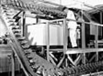 Un employé surveille des bouteilles contenant une culture de surface de pénicilline qui sont transportées de la pièce d'incubation jusqu'au moule à liquide au moyen d'un convoyeur à courroie aux laboratoires Merck mai 1944