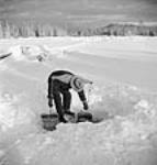 L'homme à tout faire Andres Budge, de Maniwaki (Québec), transportant de l'eau dans des seaux au moyen d'un joug posé sur ses épaules au camp de bûcherons de M. Kearney mars 1943