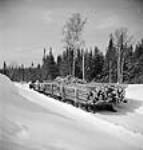 Vue d'un camion tracteur transportant un gros chargement de billes sur unchemin très enneigé jusqu'au lac Sloe mars 1943