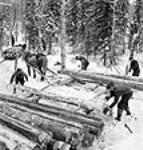Des bûcherons chargent des traîneaux de billes pour les transporter aux «parcs à grumes » sur la surface gelée des rivières mars 1943