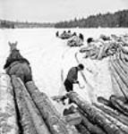 Workmen using pulp-hooks unloading logs into a frozen lake mars 1943