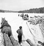 Workmen using pulp-hooks unloading logs into a frozen lake Mar. 1943