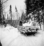 Lumberman standing on a horse-drawn sleigh hauling logs to Lake Shannon for transportation to the mill févr. 1943