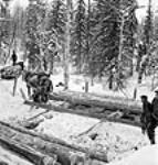 Lumbermen loading logs by pulp-hook from the "yards" onto sleighs for hauling to Shannon Lake ca. 1943