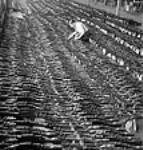Un ouvrier attachant des étiquettes à des armes empilées et prêtes pour l'expédition à l'usine de munitions de la John Inglis Co 10 avri1 1944