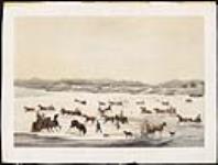 Sleigh Scene, Toronto Bay, Canada West (Ontario) 1853