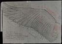 Facsimile of top of left wing of Canada goose [graphic material] / Drawn by Emanuel Hahn January 1952