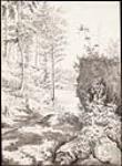 L'entrée de la prairie à castor, près de Rousseau, Muskoka 1879