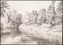 En amont de la rivière Shadow, Rousseau 1879
