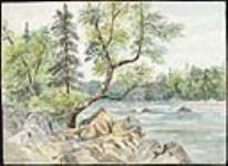 La rivière Batiscan aoôt 1891