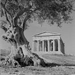 Temple of Concord, Agrigento, Sicily ca. 1956