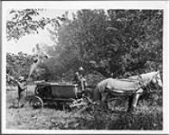 Spraying apple trees, Round Hill, Nova Scotia June 1922