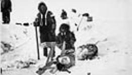 Inuit learn how to manage a sled at an early age April 1931