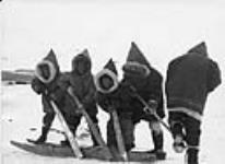 Inuit children on the sledge 2 May 1962