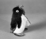 [Sealskin penguin figure] 1966