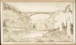 Carthage Bridge. River Genesee with the lower Falls - near Lake Ontario [now the site of Rochester, New York] 9 July 1819