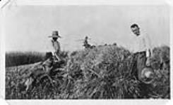 Fred Housser including the farm labourer during World War One 1914-1918 (?)