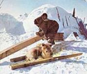 Unidentified Inuit man working a piece of wood 1952?