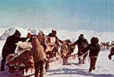 Group of Inuit directing a dog sled laden with cargo 1952?