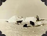 Three Husky dogs and one unidentitifed Inuk in front of an igloo 1952