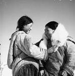 An Inuit woman wrapping a fox fur around another Inuit woman [graphic material] 1953