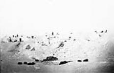 Inuit camp in the snow n.d.