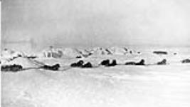 Igloos and dog team resting, unknown location, probably Nunavut n.d.