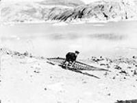 Inuk man employed by R.C.M.P. holding the framework of a kayak Summer 1939