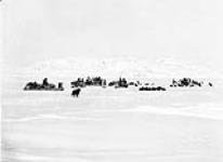 Expedition members and sled teams, Cape Dorset (Kinngait), Baffin Island 1929 1929