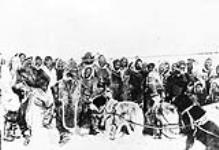 Large group of Inuit with dogs May, 1916