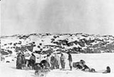 Group of Inuit and sled dogs May, 1916