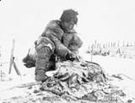 Inuit woman scraping skins vers 1929-1934.