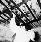 Inuk boy at Gerry Lake practicing gymnastics inside wood-framed igloo 1949