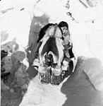 Inuk boy about to enter an igloo, with a woman looking out from inside the igloo 1949
