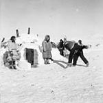 Inuit men wrestling and being watched by some women 1950