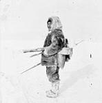 Inuk man at Holman Island [Ulukhaktok/Ulukhaqtuuq] with large hook used for catching seals 1950