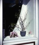 Floral display in Toronto window 1976-1978.