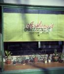 Window display for "Anthony's Custom Tailor," on Queen Street West 1976-1978.