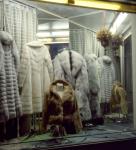 Display of fur coats in window of store on Queen Street West 1976-1978.