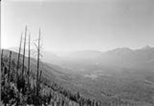 South view at Station 110, looking down Kootenay valley 1923